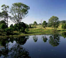 More of the beautiful NSW countryside!